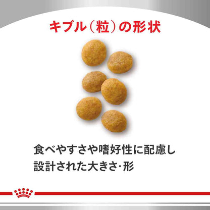 Liver Support for Cats 500g