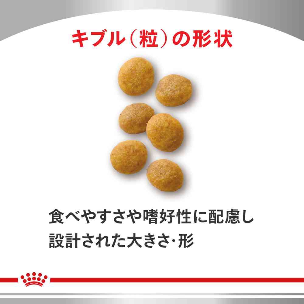 Liver Support for Cats 2kg