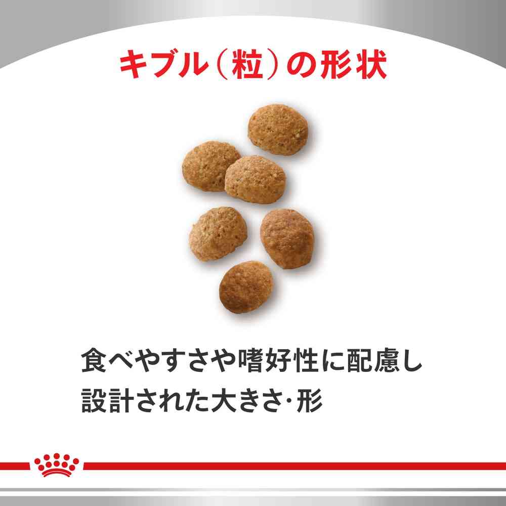 Cat Select Protein (D&R) 4kg