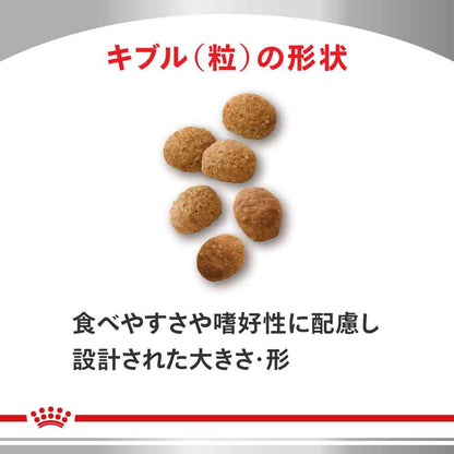 Select Protein for Cats (D&R) 500g