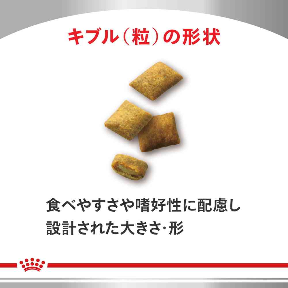Cat Kidney Support Selection 500g
