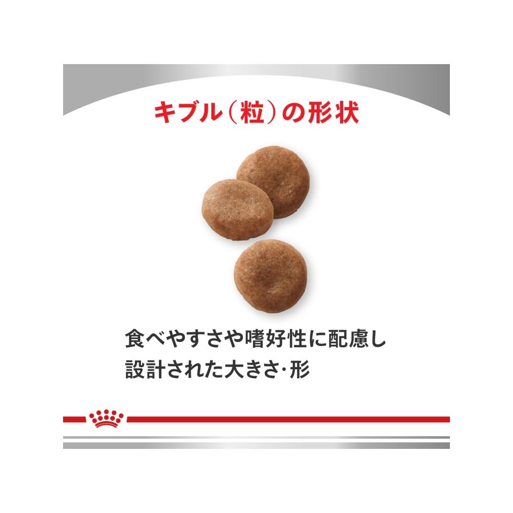 Select Protein F&P for Dogs 1kg x 1