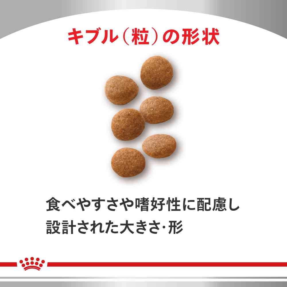 Cat Urinary S/O Light 500g