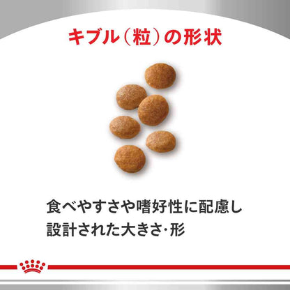 Cat Urinary S/O 4kg