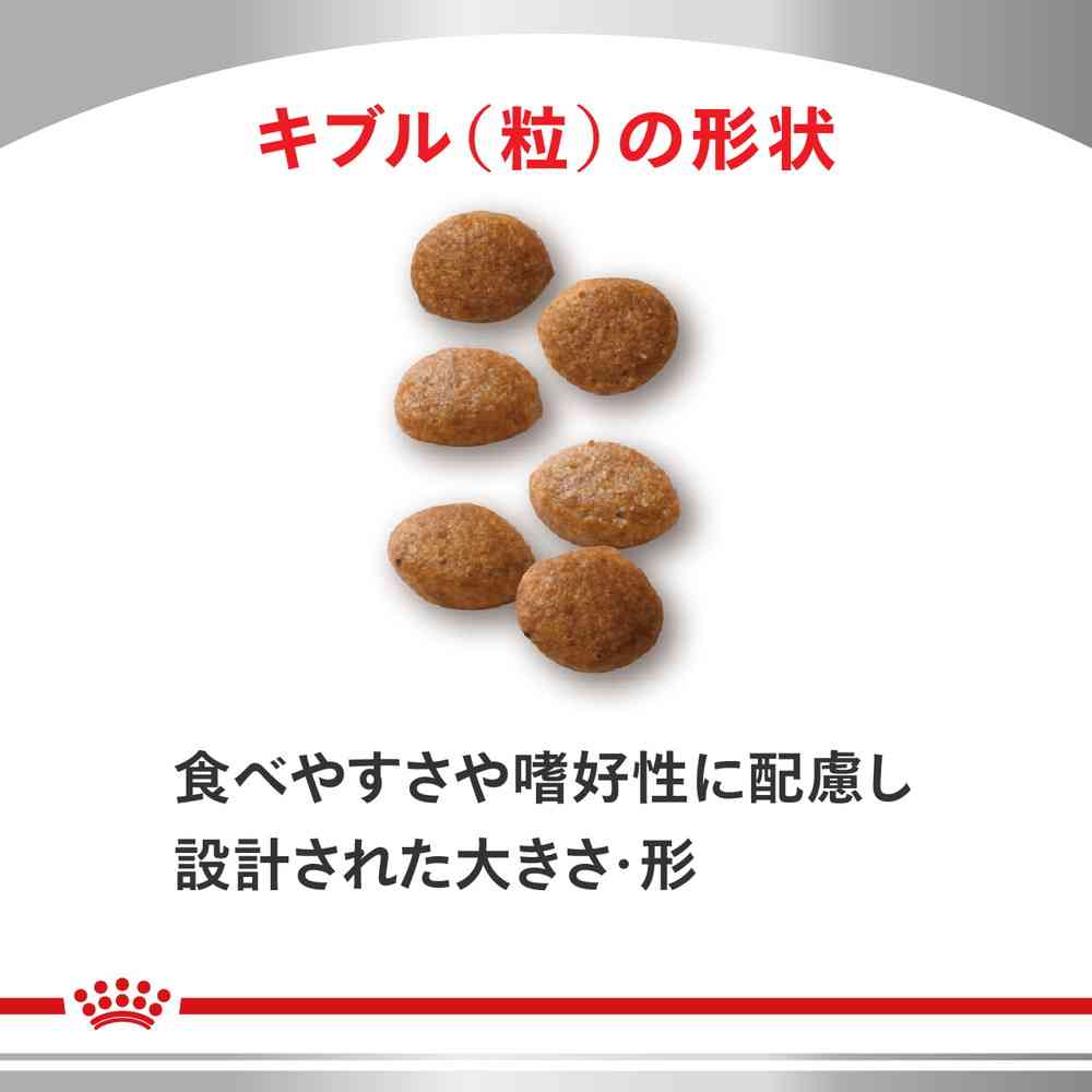Cat Urinary S/O Olfactory 4kg