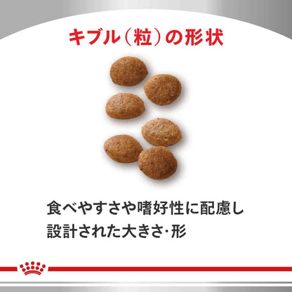 Cat Urinary S/O Olfactory 4kg
