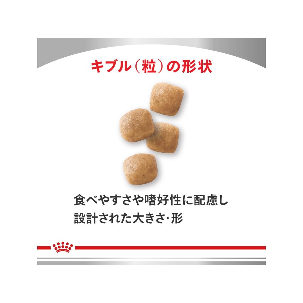 Dog Urinary S/O 3kg x 1