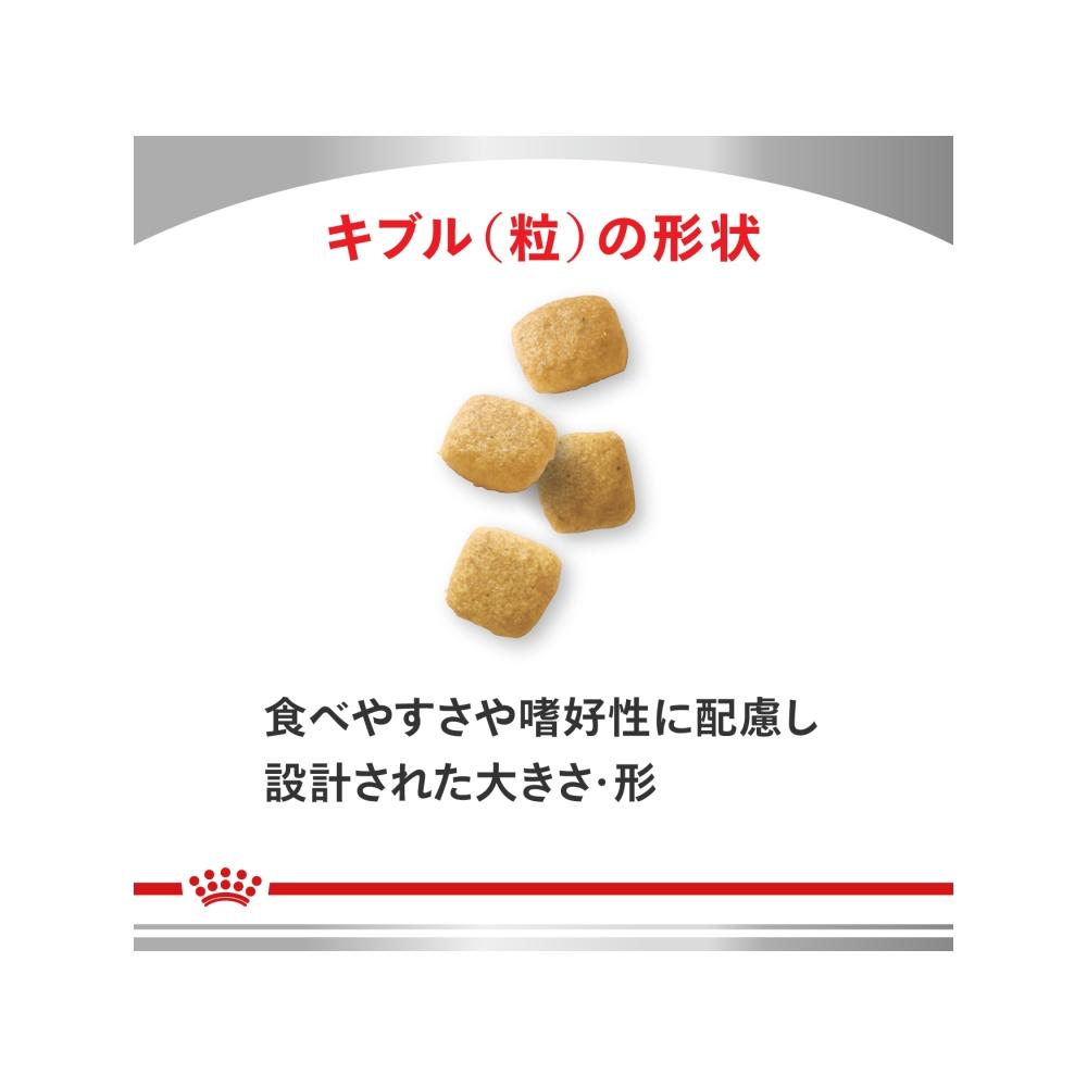 Dog Urinary S/O Light 8kg