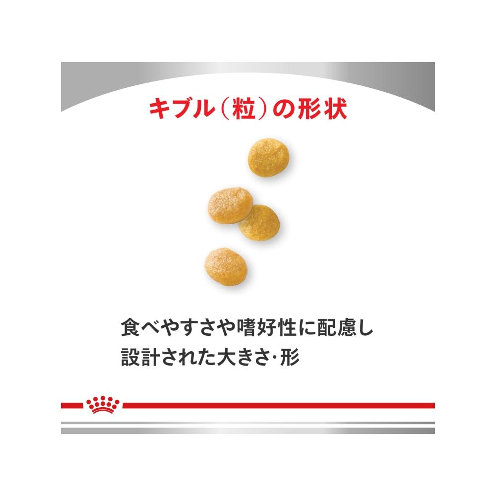 Dog Urinary S/O Small Breed S 1kg