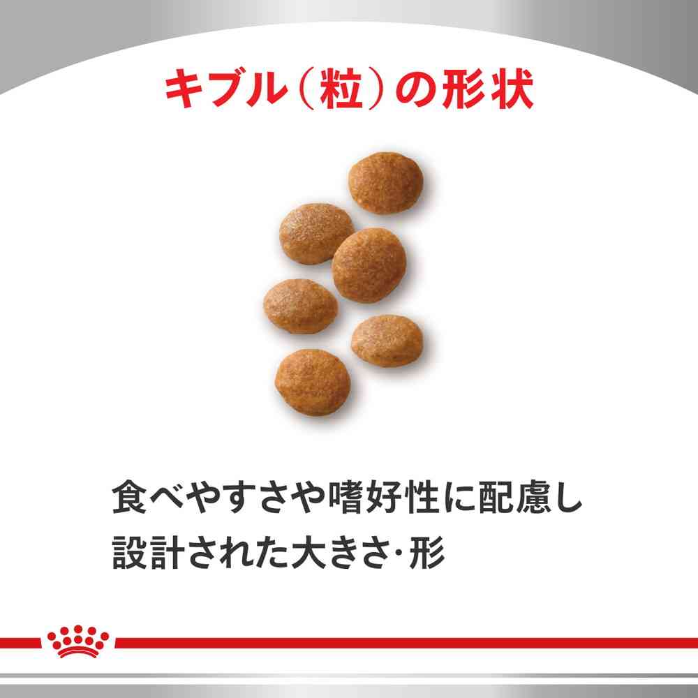 Cat Urinary S/O 2kg