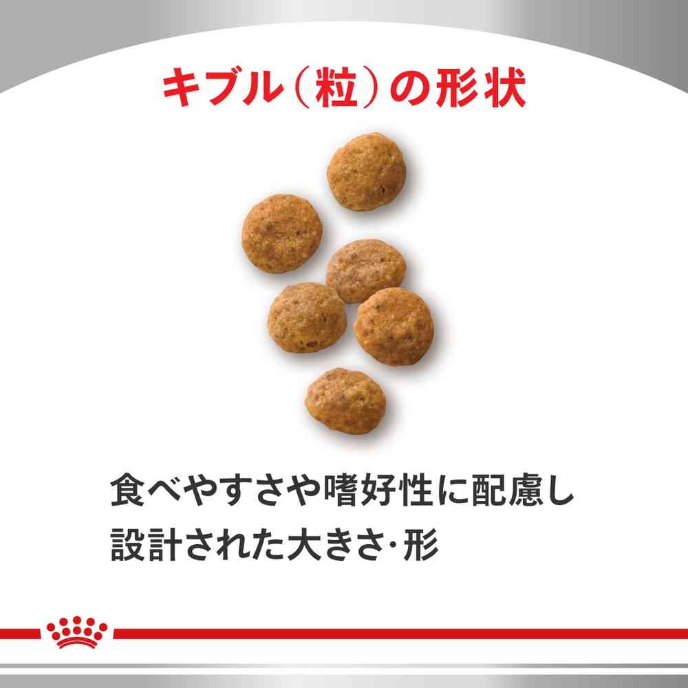 Cat Urinary S/O + Aging 7++ CLT 2kg