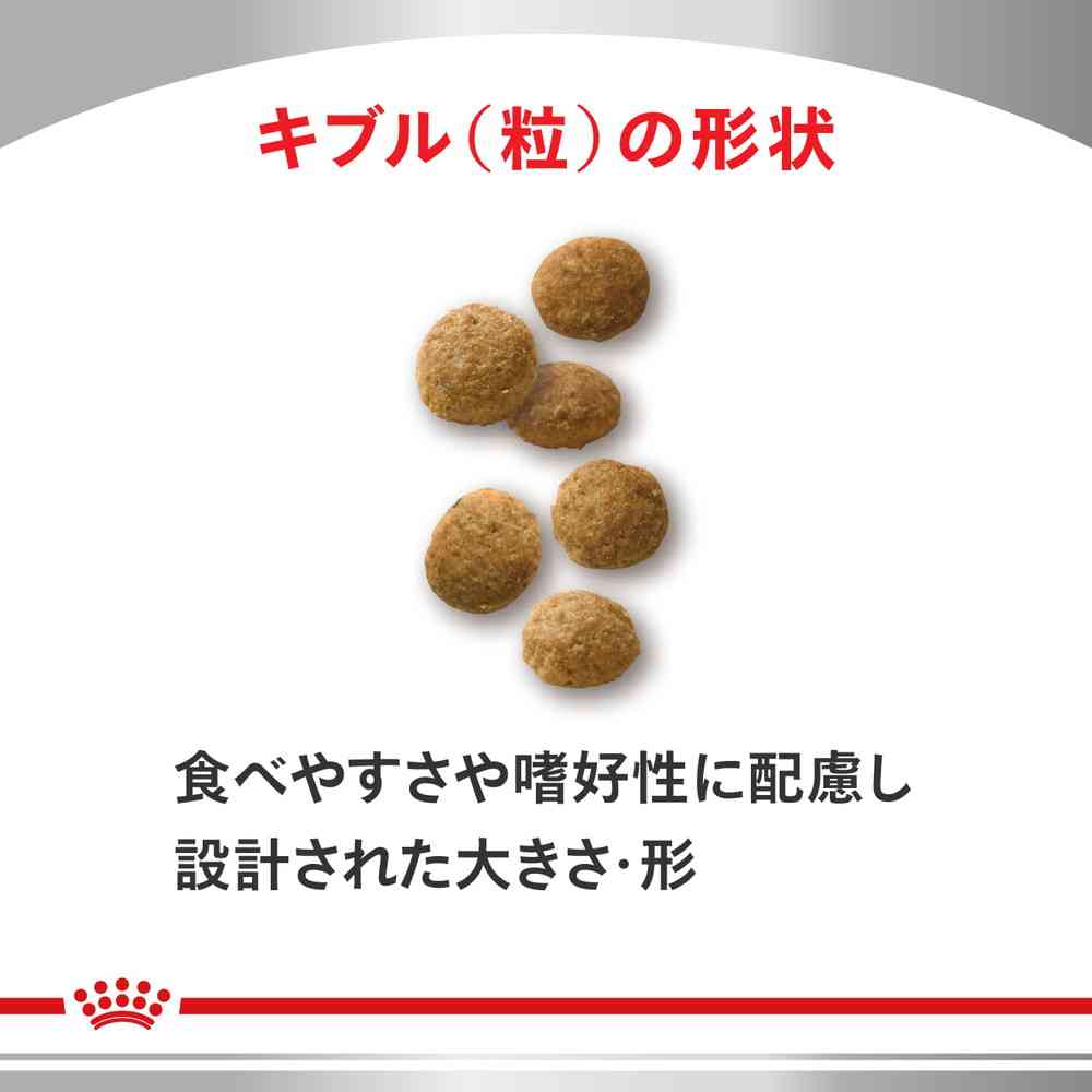 Cat Urinary S/O + CLT 2kg x 1