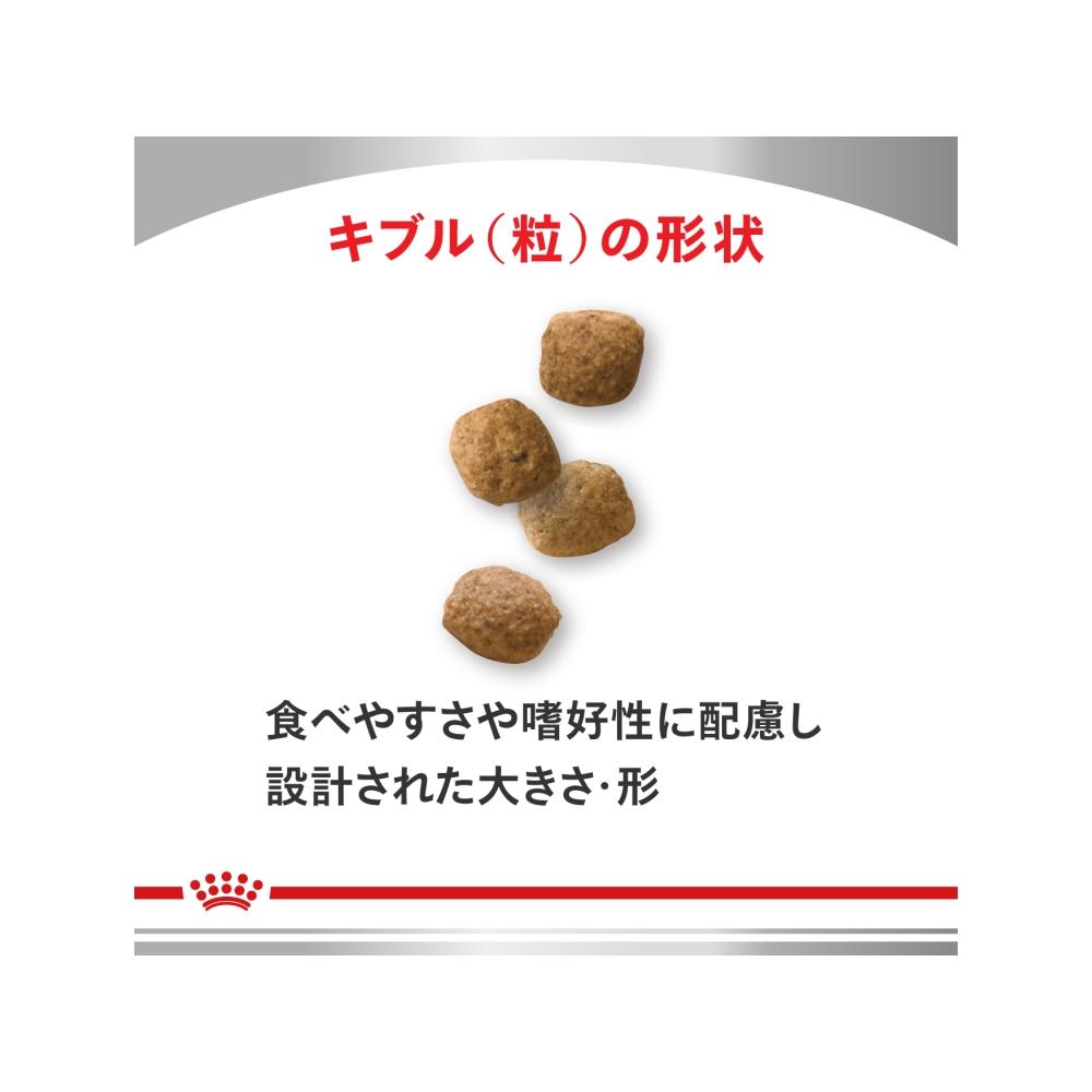 Dog Urinary S/O + Satiety Support 1kg