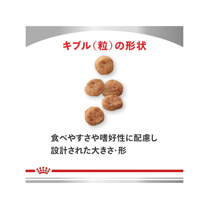 Dog Low Molecular Protein Small Breed 1kg