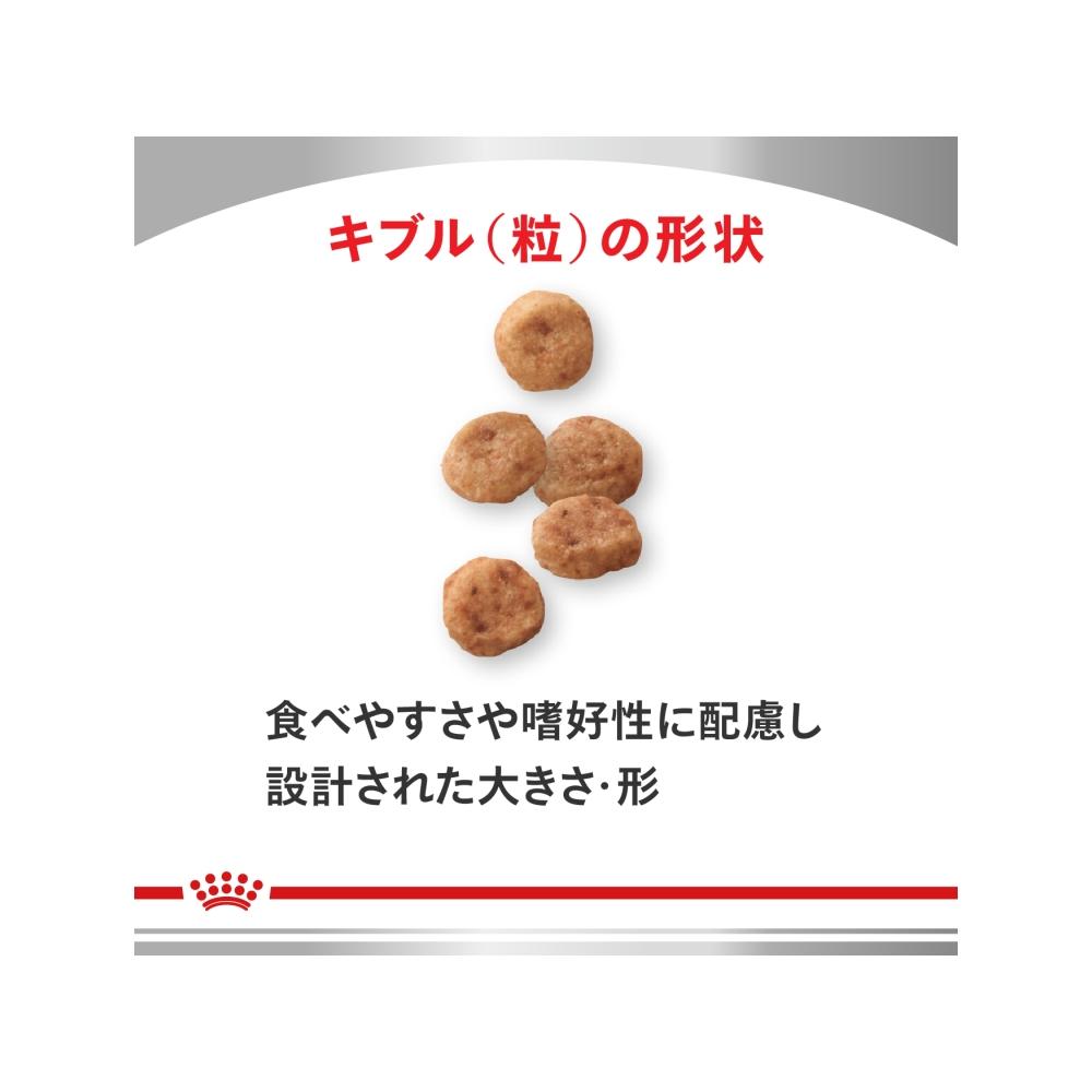 Dog Low Molecular Protein for Small Breeds 3kg