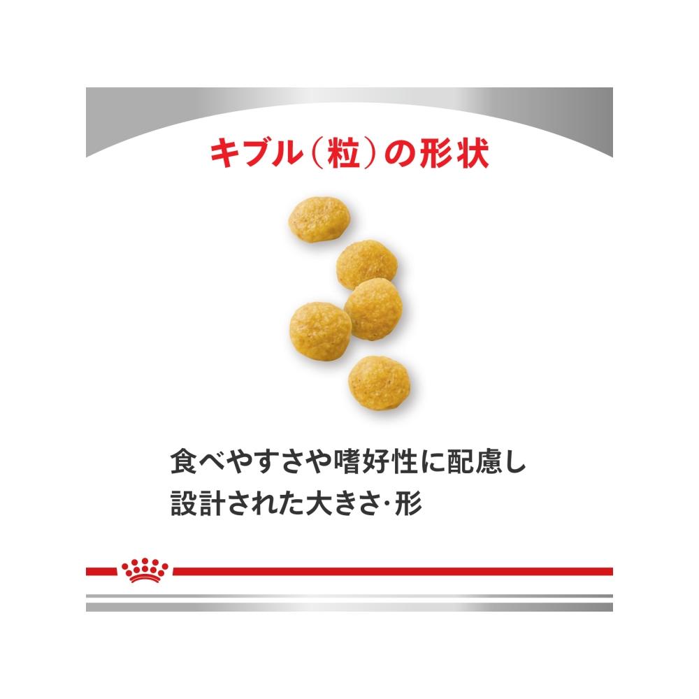 Dog Skin Care Small Breed S 3kg
