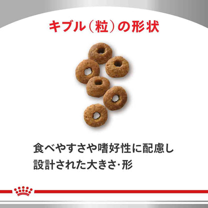 Cat Skin & Coat 500g