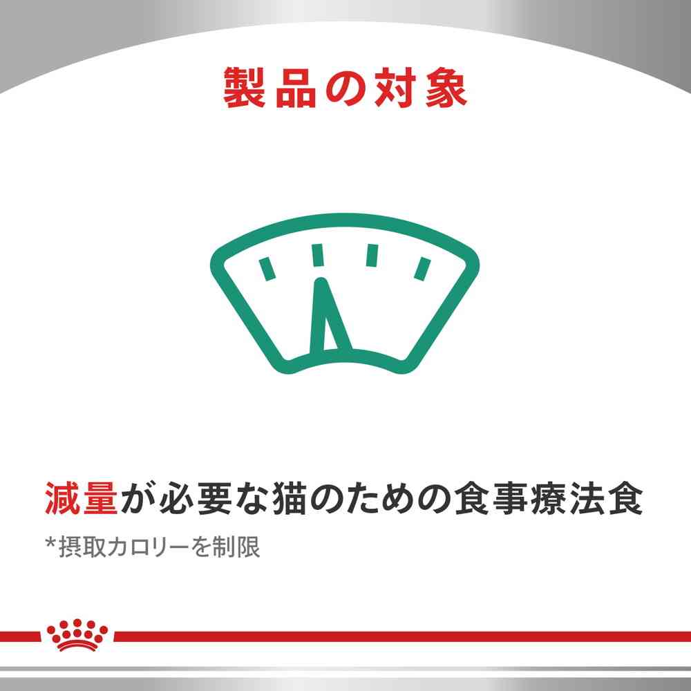 Cat Satiety Support 400g x 1