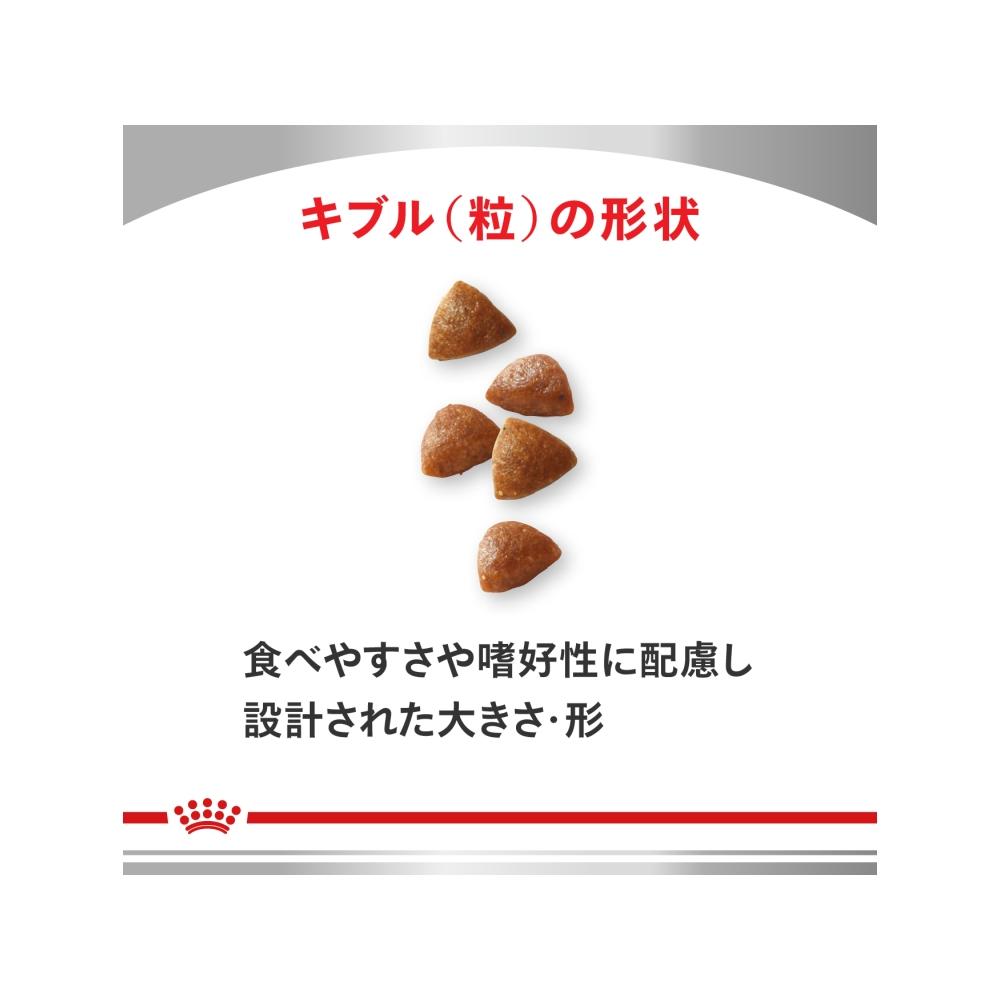 Dog Digestive Support Puppy 1kg