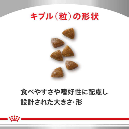 Digestive Support for Kittens 400g