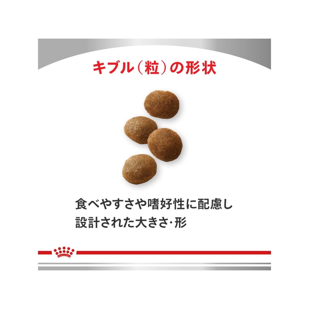 Dog Digestive Support 3kg x 1