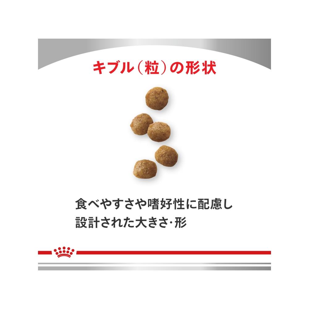 Dog Kidney Support Small Breed S 1kg