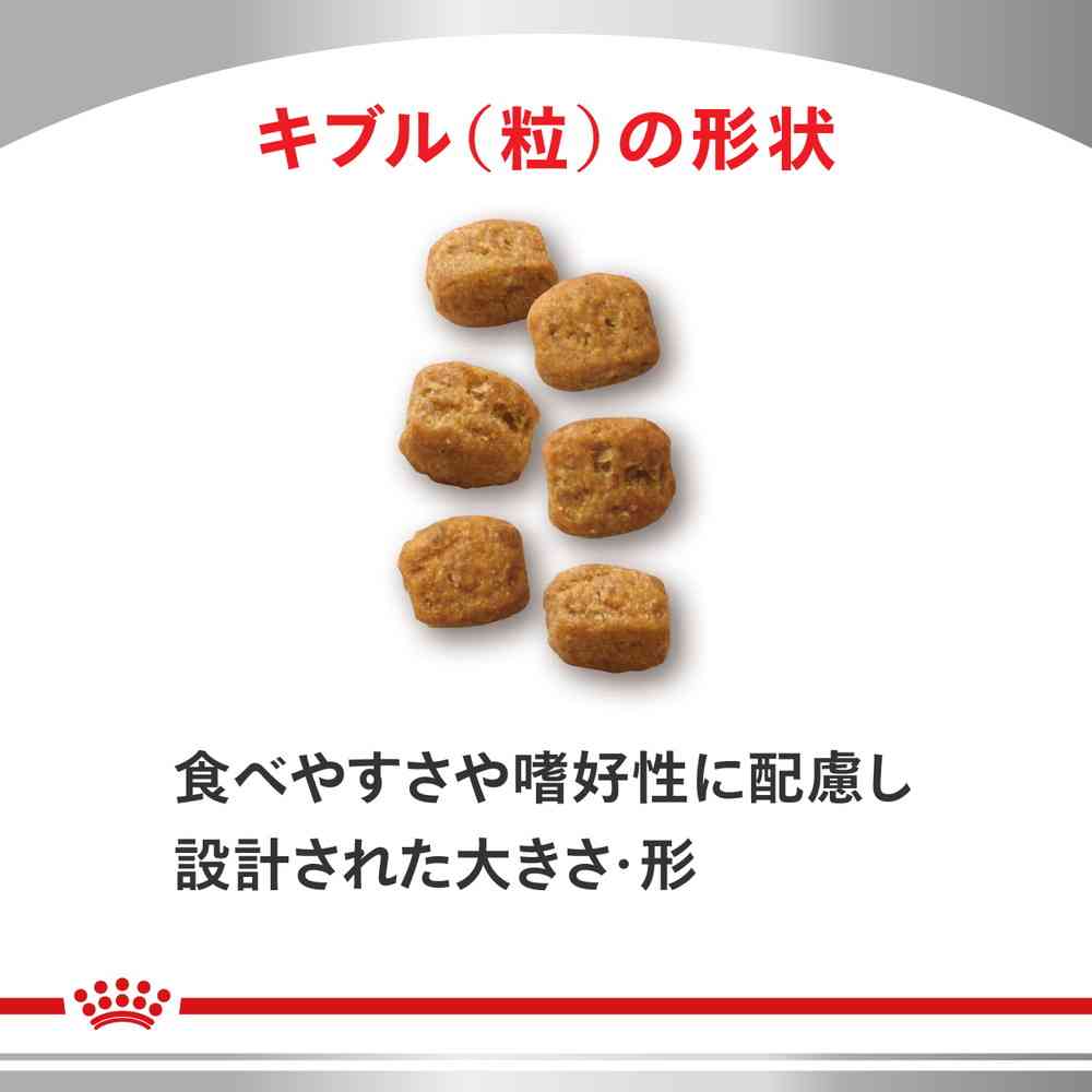 [Limited Sample Included] Cat Early Kidney Support 500g