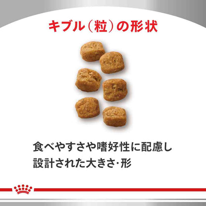 Cat Early Kidney Support 2kg (Limited Sample Included)