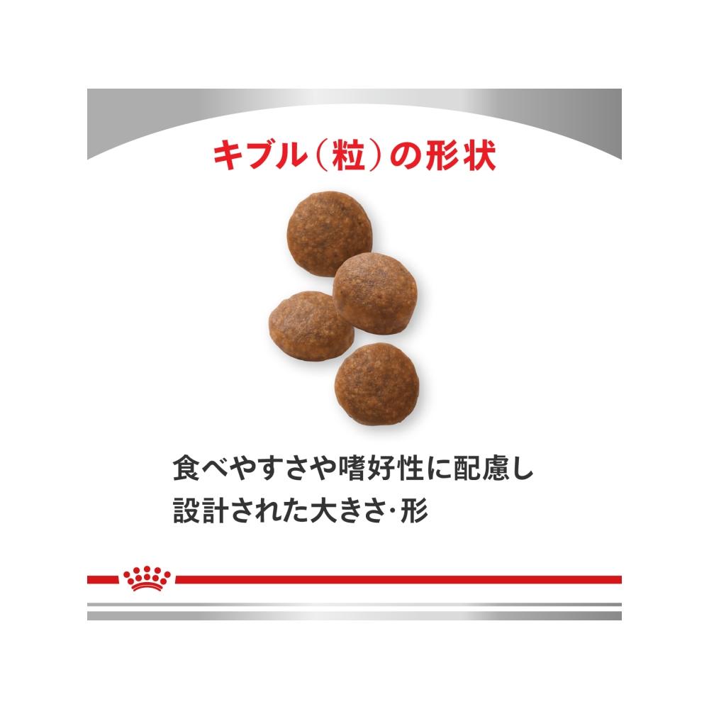 Dog Heart Support 8kg