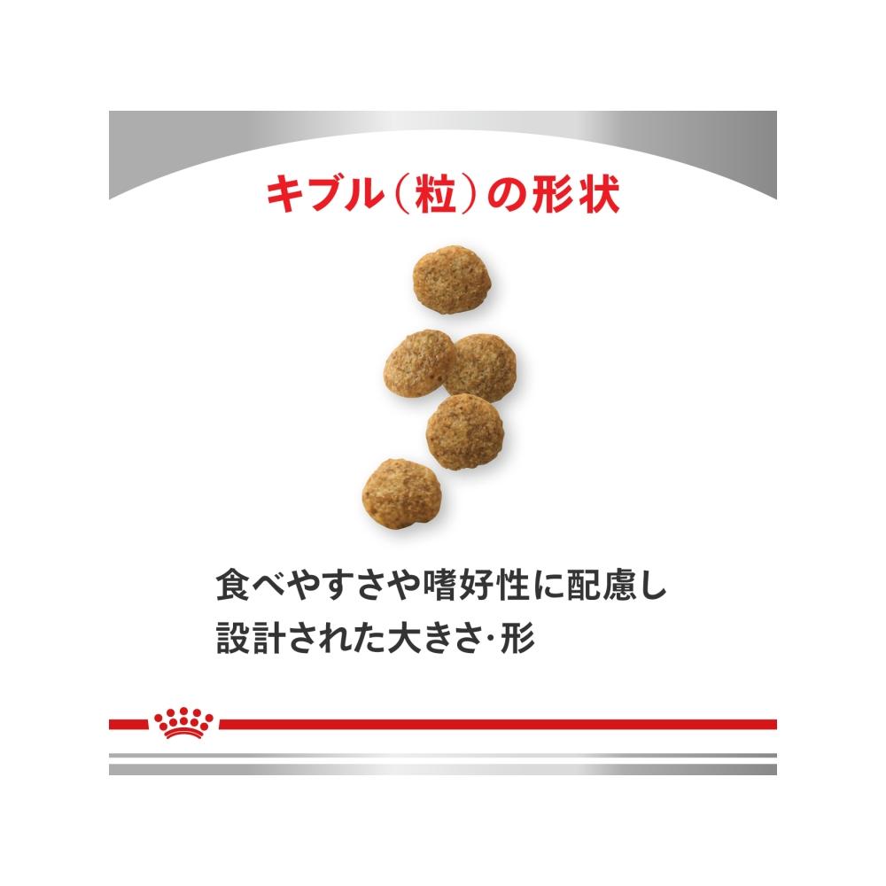 Dog Digestive Support Low Fat Small Breed S 3kg
