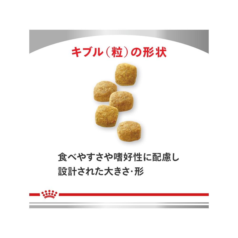 Dog Aging Care 3kg