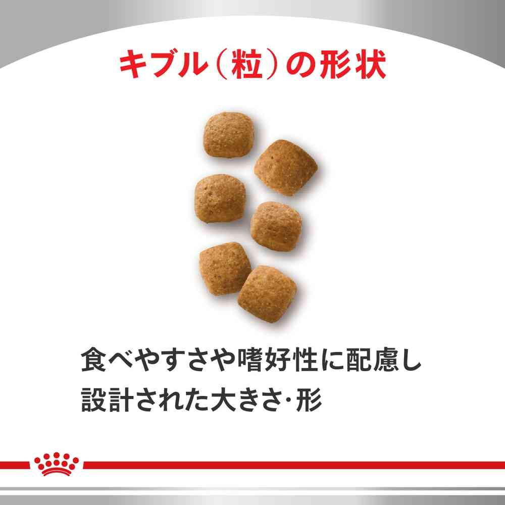 Cat Neutered Care 500g