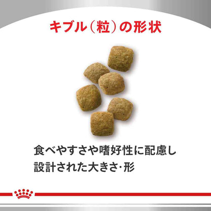 Cat Aging Care 500g