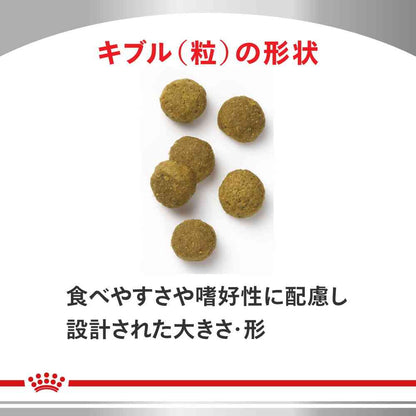 Cat Heart Support 2kg