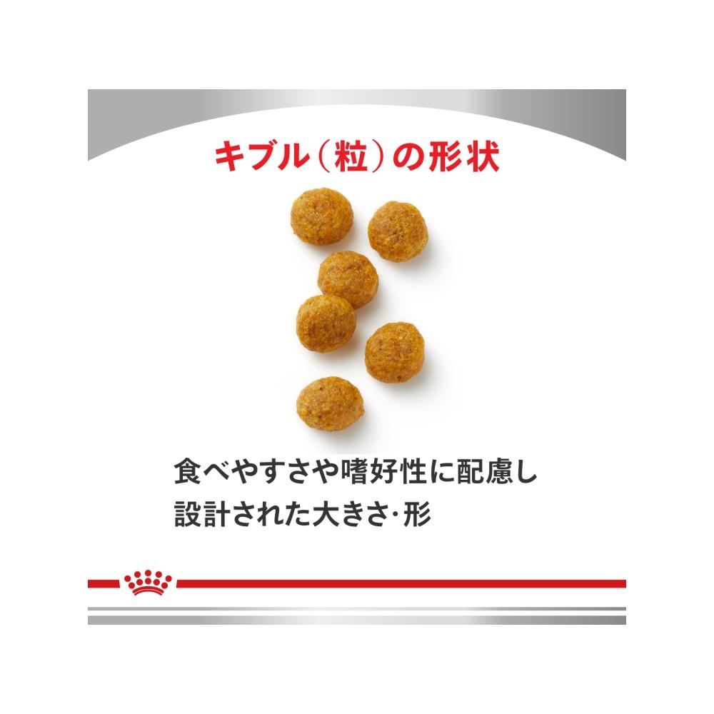 Skin Topic for Dogs Small Breed 1kg