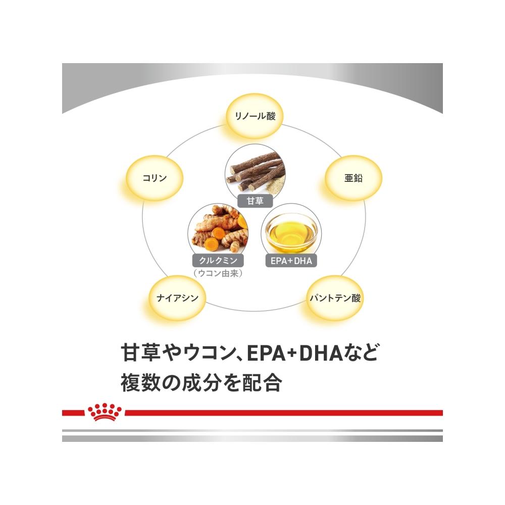 Skin Topic for Dogs Small Breed 1kg