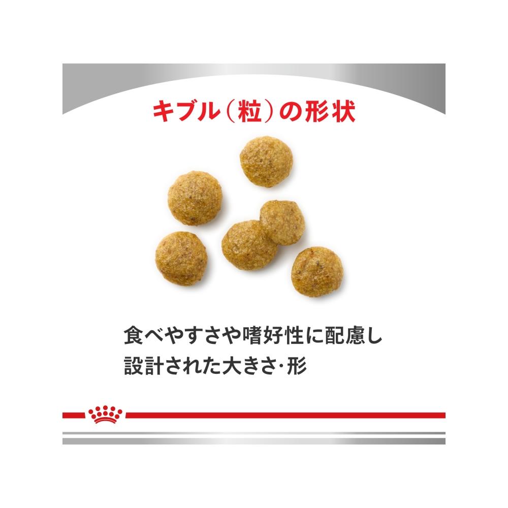 Canine Kidney Support + Low Molecular Protein Small Kibble 1kg