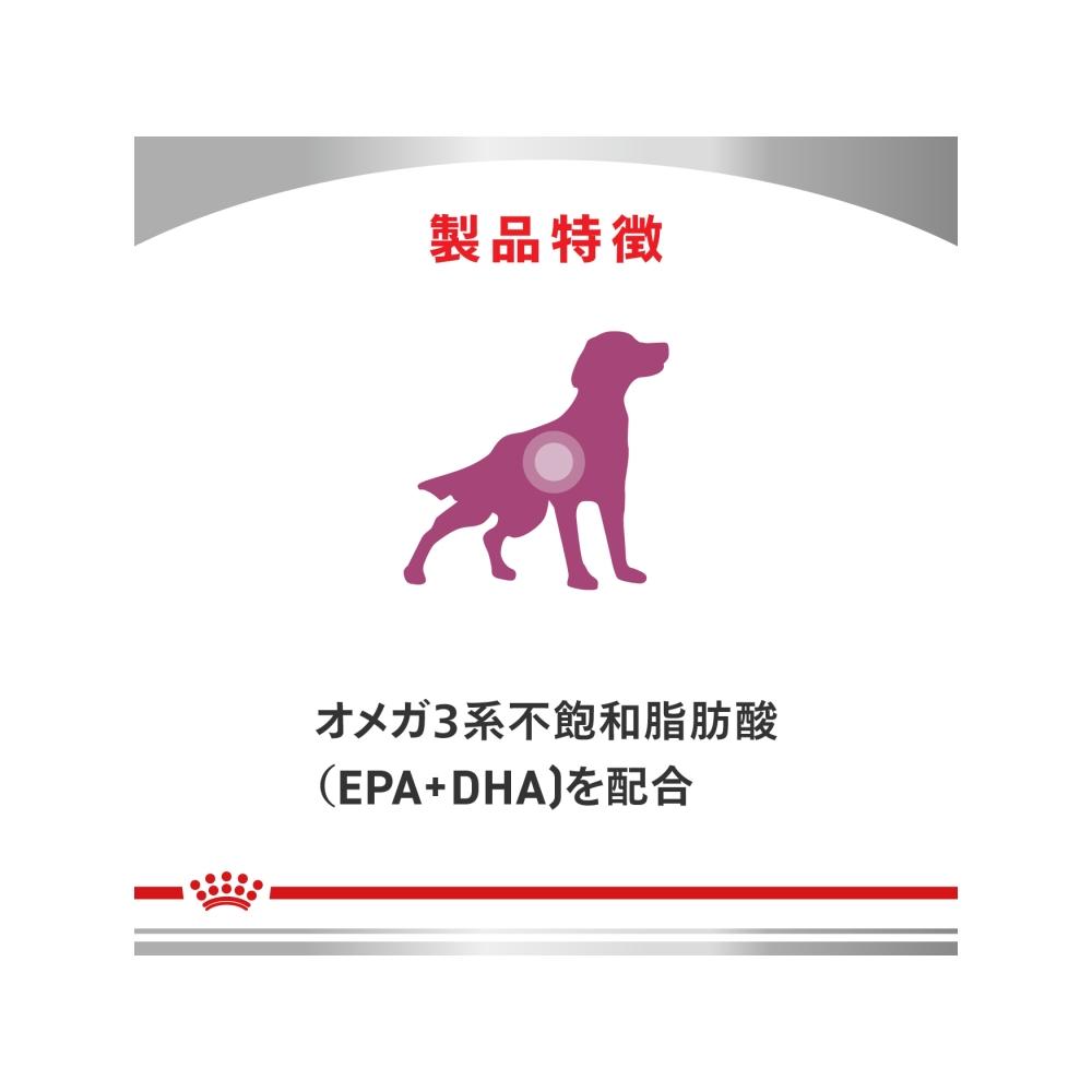 Canine Kidney Support + Low Molecular Protein Small Kibble 1kg