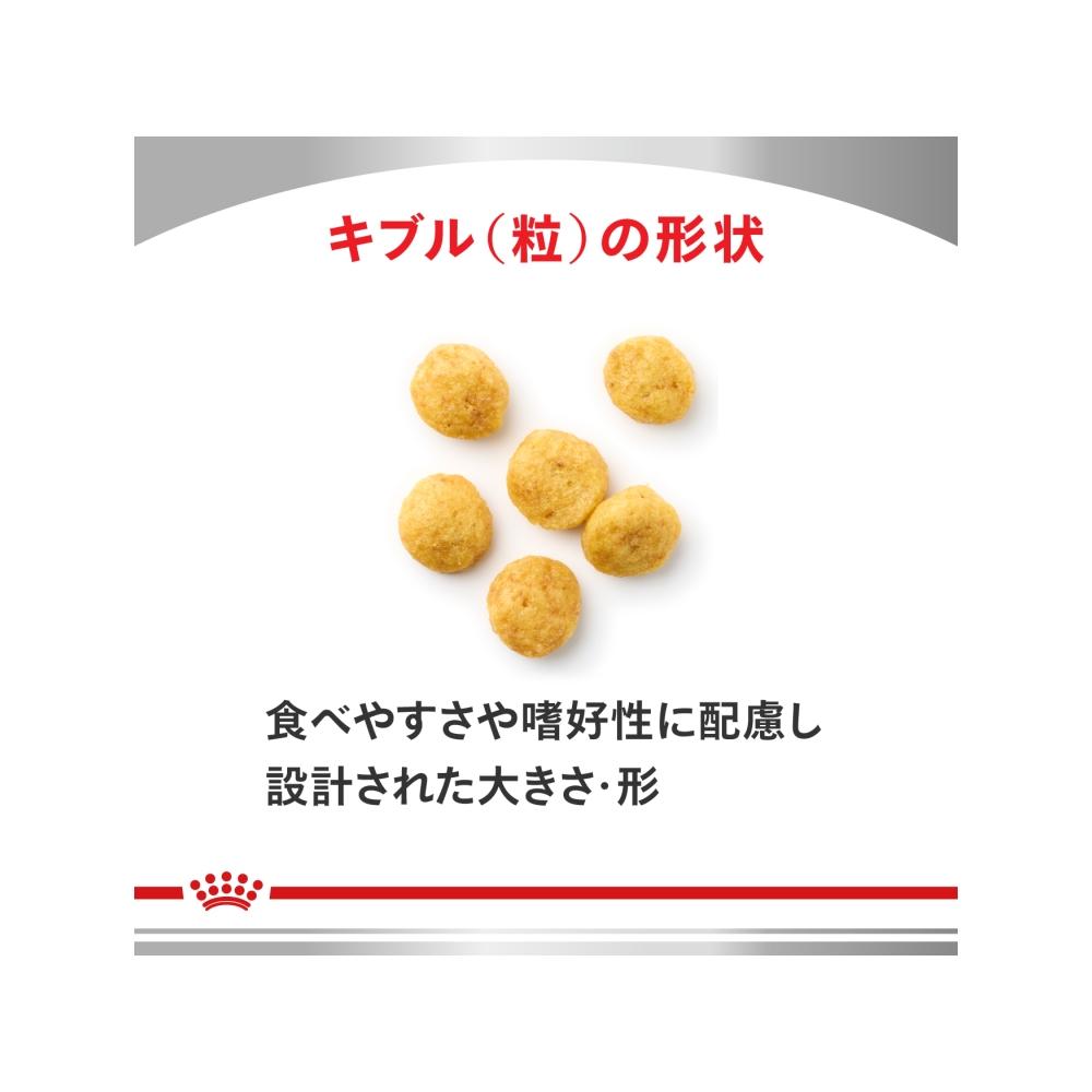 Dog Urinary S/O + Low Molecular Protein Small Kibble 3kg