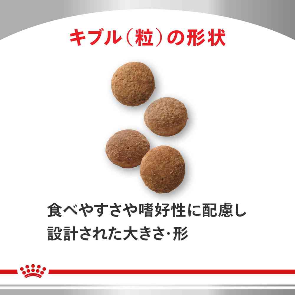 Cat Urinary S/O + CLT + Satiety Support 500g
