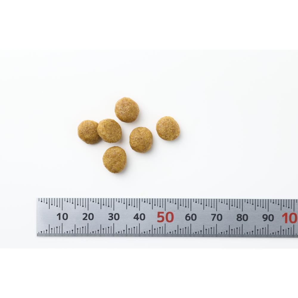 Cat Kidney Support + Joint Support 500g
