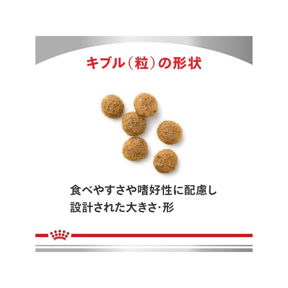 Dog Early Kidney Support Small Kibble 3kg