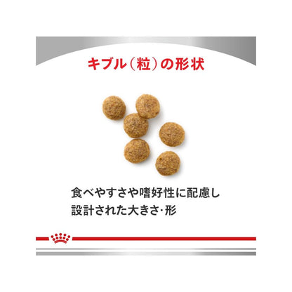 Dog Early Kidney Support Small Kibble 3kg