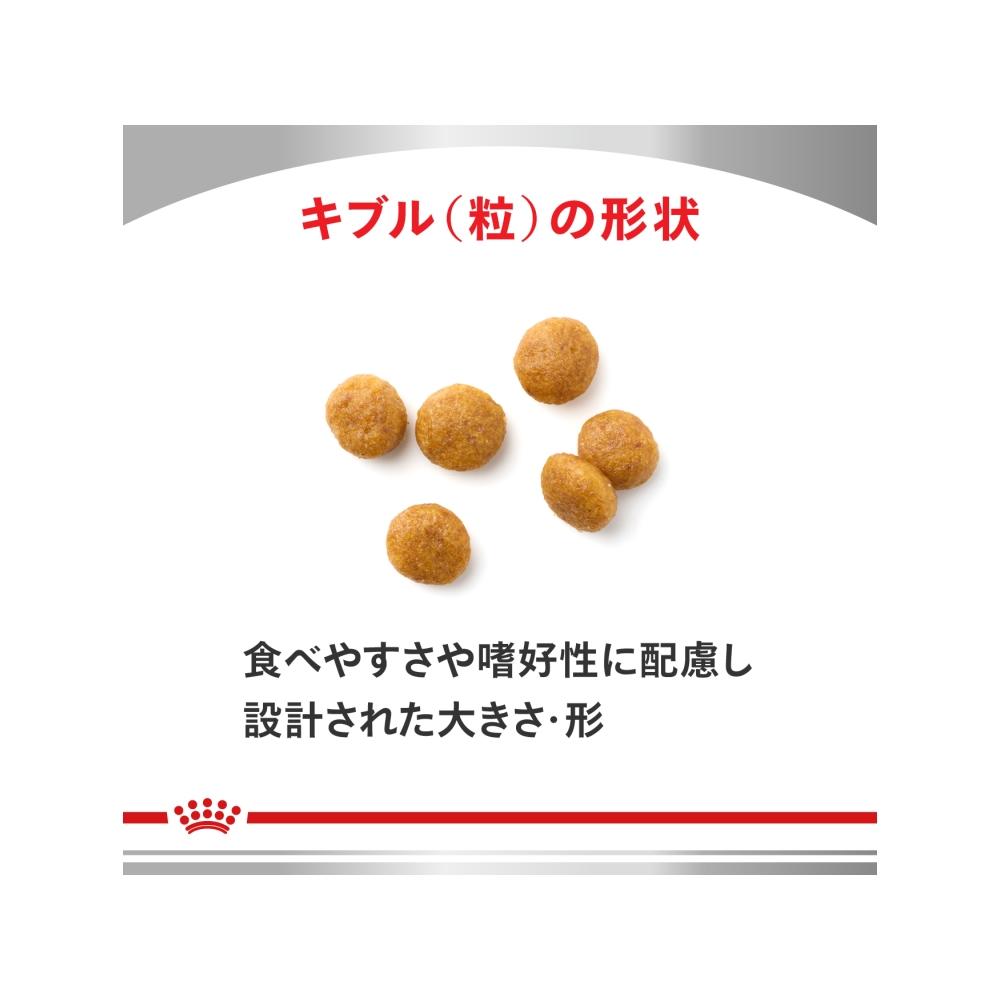 Dog Urinary S/O Aging 7+ Small Kibble 3kg