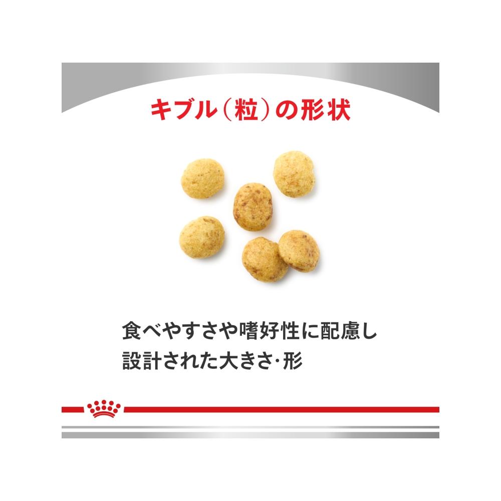 Dog Low Molecular Protein Light Small Kibble 1kg