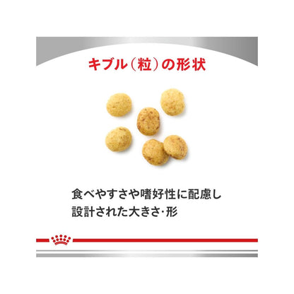 Canine Low Molecular Protein Light Small Kibble 3kg
