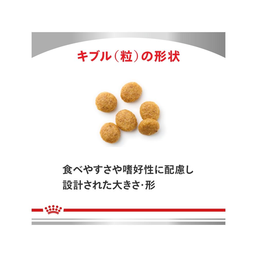 Dog Urinary S/O Light Small Kibble 3kg