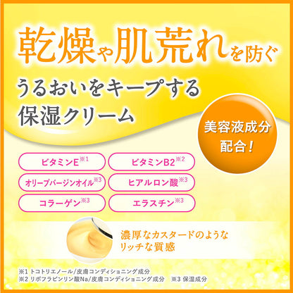 DHC Q10 Cream II (SS) (20g)