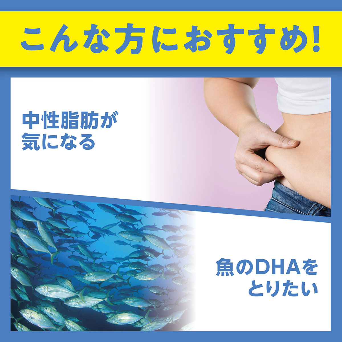 DHC DHA 60 Days 240 Tablets