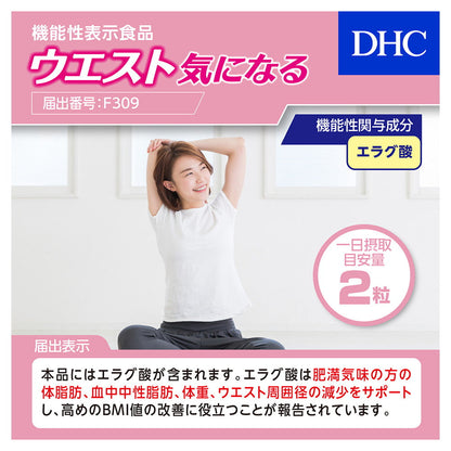 DHC Waist Concern 20 Days 40 Tablets